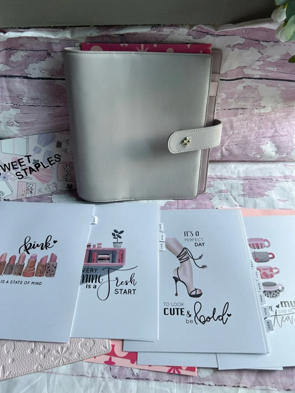 🎀Bundle Aura Estelle A5 wide planner w pink chic Inserts ✨ - Picture 4 of 8